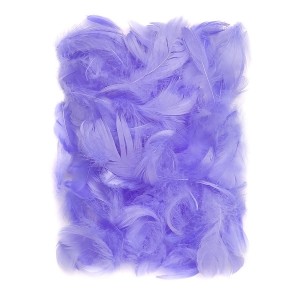 Feathers 5-12 Cm, 10 G Lilac