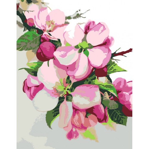 Standard Kit, painting by numbers, „Apple Blossom“, 35х45cm,
