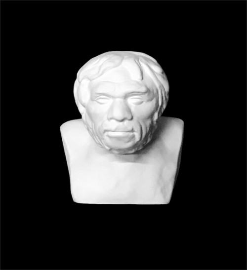 Plaster Cast.  Bust of Neanderthal