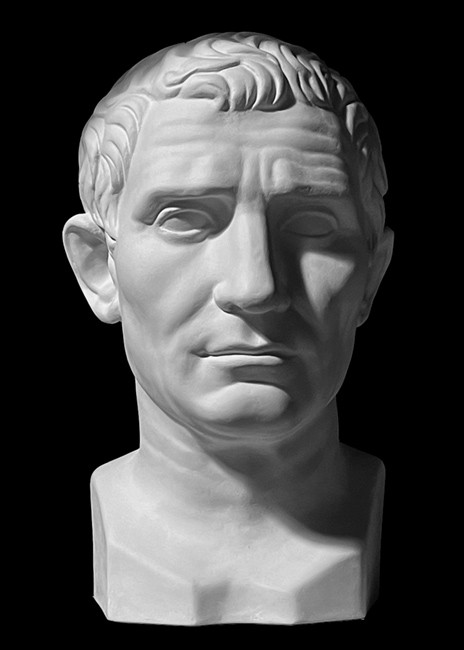 Plaster Cast. Head of Augustus
