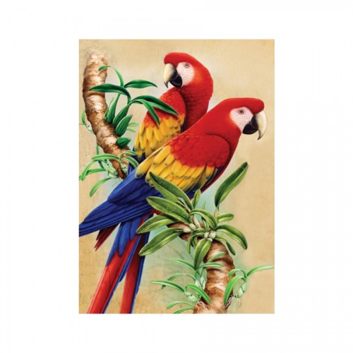 Mini Parrots