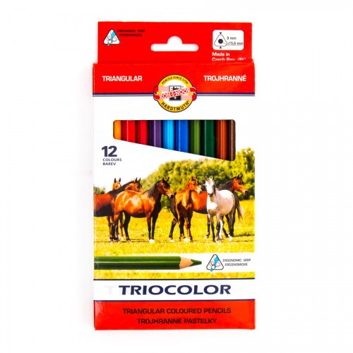 Set Of Magnum Triangular Coloured Pencils 3142 12