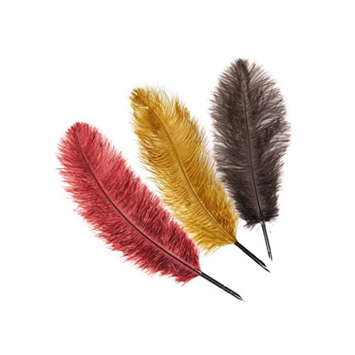 Ostrich Quill Pen - Assorted Colours