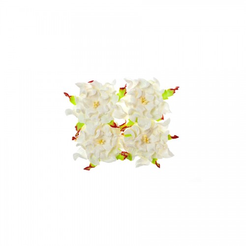 Gardenia 7Cm 4 Pcs In A Pack White