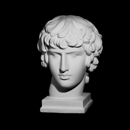 Plaster Cast The Head Of Antinous