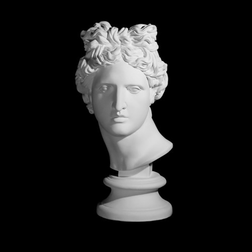 Plaster Cast The Head Of Apollo Belvedere