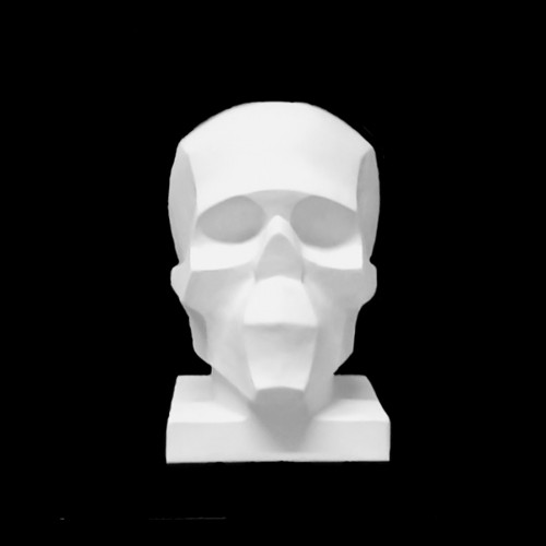 Plaster Cast The Skull With Generalized Planes