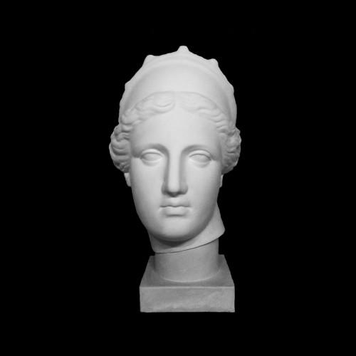Plaster Cast The Head Of Veenus