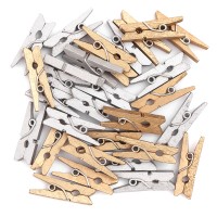 MINI PEGS - GOLD & SILVER, 30 PCS