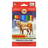 Set Of Magnum Triangular Coloured Pencils