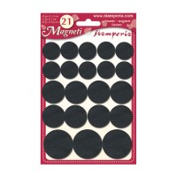 Big  Assorted Magnets -21 Pcs