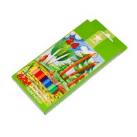 set of plastic coloured pencils 2164 24