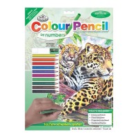 MINI COLOUR PENCIL BY NUMBER - JAGUARS