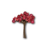 Red Fruits Bouquet