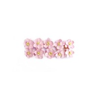 Cherry Blossom, 10 Pcs Light-Rose