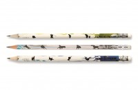 Graphite Pencils with eraser Sport