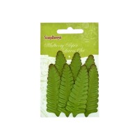 Set Of Leaflets, 7 Pcs, Fern