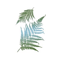 Stencil G Cm.21X29,7 Fern Leaves