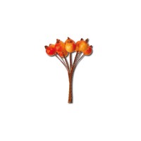 12 Orange-Yellow Berries Bouquet