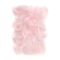 Feathers 5-12 Cm, 10 G Pink
