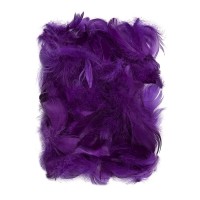 Feathers 5-12 Cm, 10 G Purple