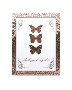 Plastikust pildiraam klaasiga 21х30 1566/032 (grey-brown metallic)