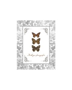 Plastikust pildiraam klaasiga 21х30 1566/2156 (silver)