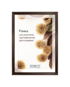 Рамка дерев. со стеклом 21х30 Д14КЛО/1246 (коричне