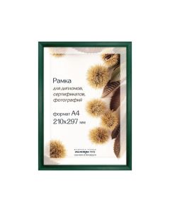 Рамка дерев. со стеклом 21х30 Д14КЛО/2232 (зелёная