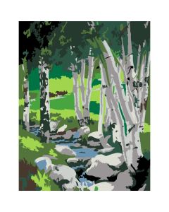 Maalimiskomplekt numbrite j&#228;rgi : „Birch“, 35х45cm,