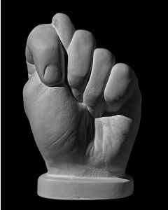 Plaster Cast. Fig Sign