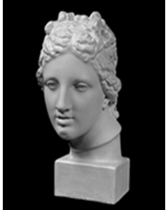 Plaster Cast.Taras Bulba