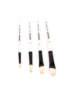 Grad Bristle 4 Brush Set