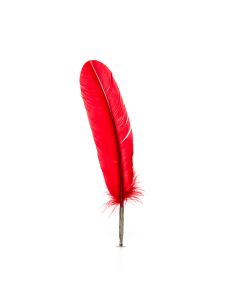 Sulg Quill Pen Assortii