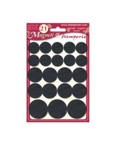 Big  Assorted Magnets -21 Pcs