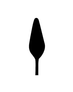 Maalinuga 16309, Conda