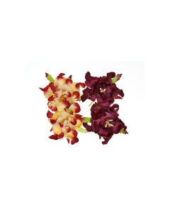 Gardenia 5Cm 4 Pcs In A Pack Bordeaux/Cream&Bordea
