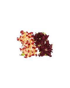 Gardenia 7Cm 4 Pcs In A Pack Bordeaux/Cream&Bordeaux