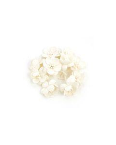 Cherry Blossom, 10 Pcs White