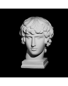 Plaster Cast The Head Of Antinous
