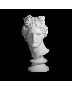 Plaster Cast The Head Of Apollo Belvedere