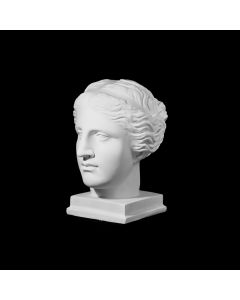 Plaster Cast The Head Of Venus