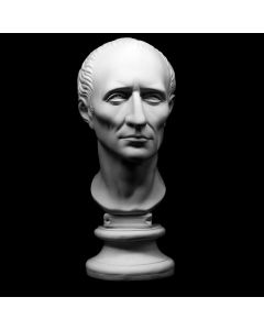 Plaster Cast The Head Of Caesar