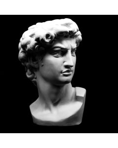 Plaster Cast David. Michelangelo