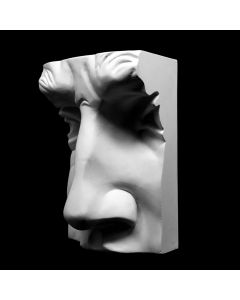 Plaster Cast The Davids Nose