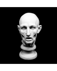Plaster Cast Houdon L`Ecorshe