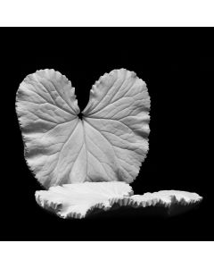 Plaster Modell For Painting With Hanger Golden Ray
