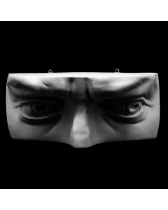 Plaster Cast The Davids Eyes