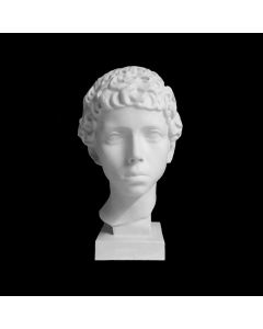 Plaster Cast The Head Of Libyan Boy