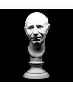 Plaster Cast The Head Of Roman